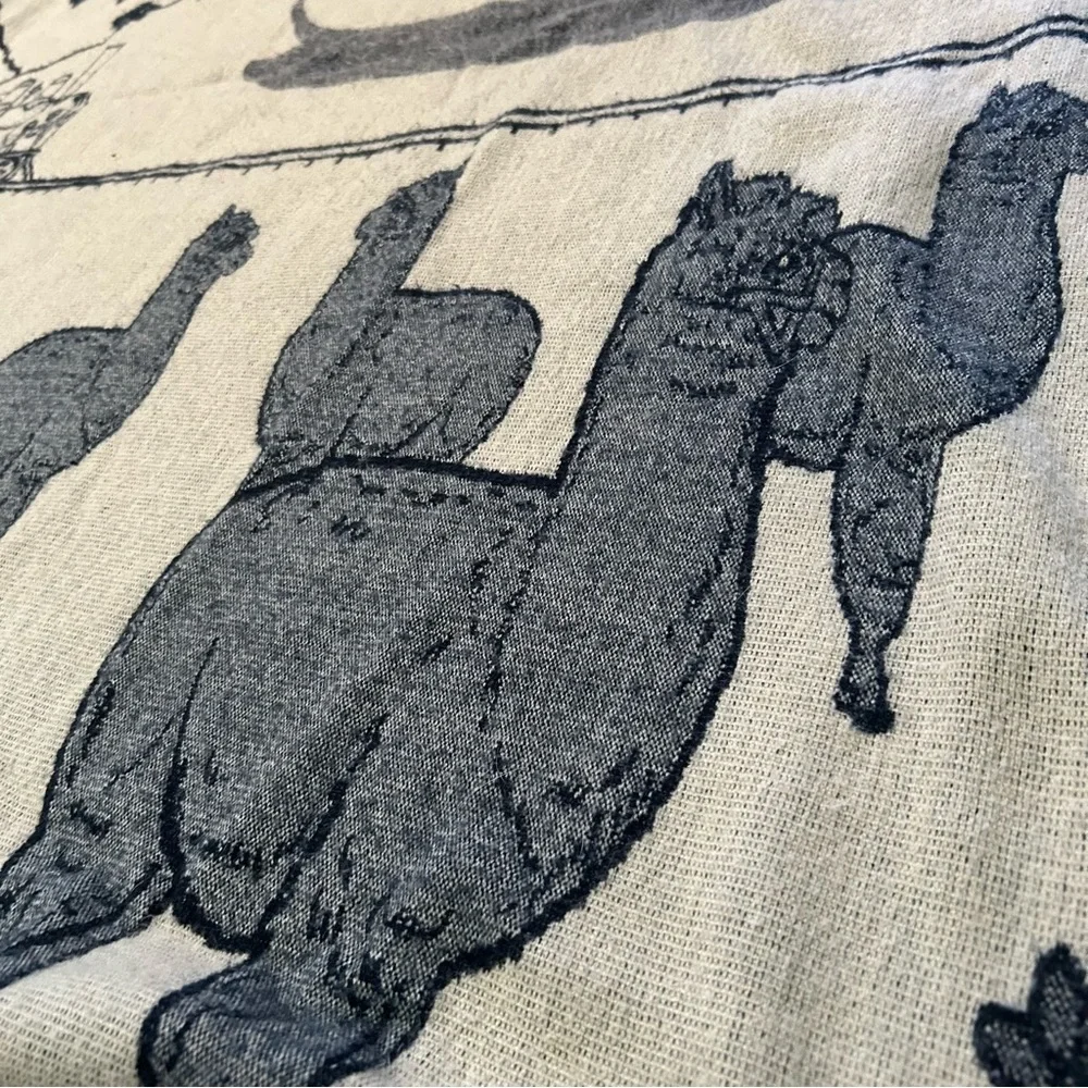 Casa De Alpaca Wool HandmadeReversible Ecuadorean Blanket NativePatterns#1201258